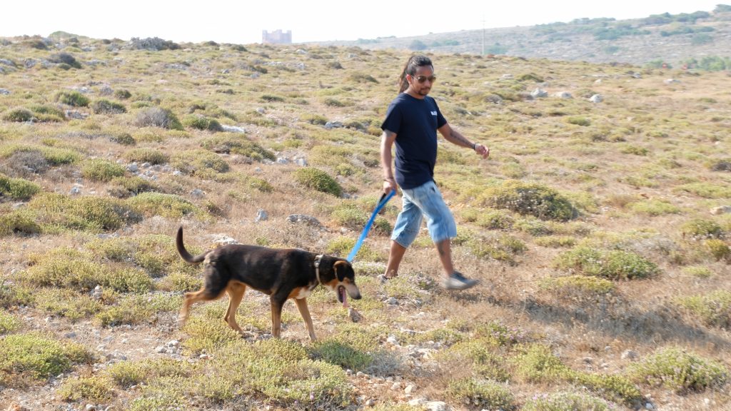 A man walking a dog in a field 