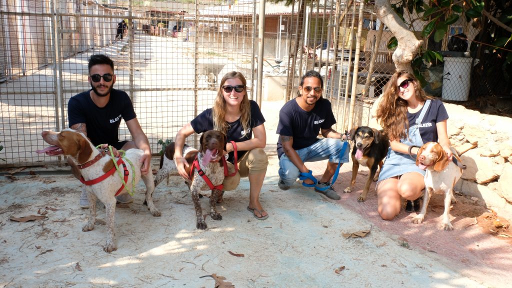 A group of people with one dog each