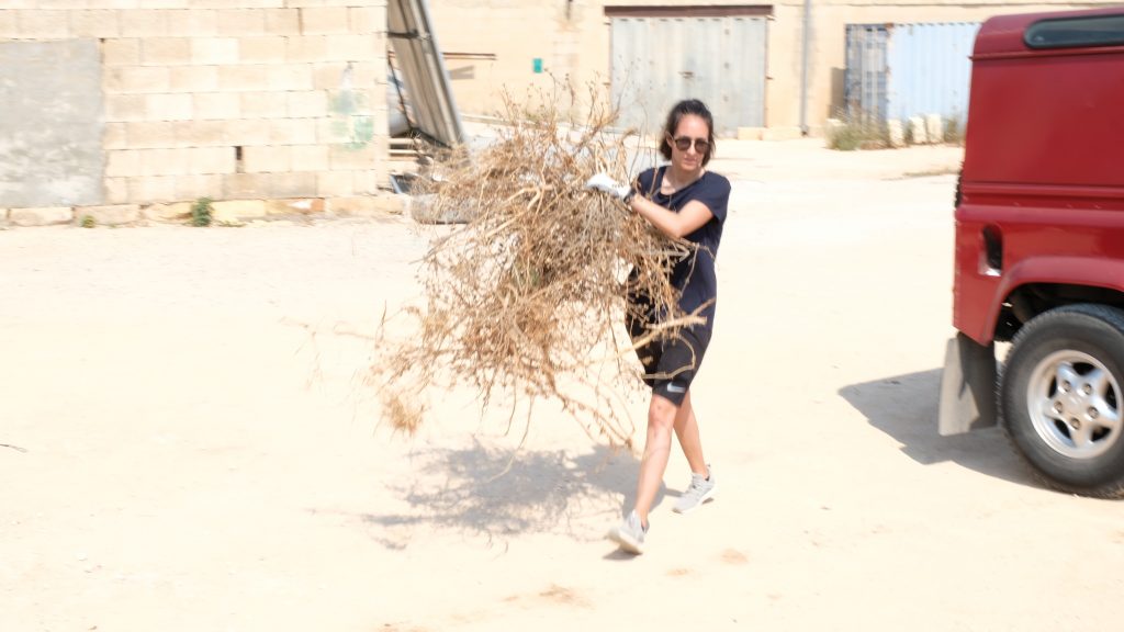 A woman carrying a bundle of twigs